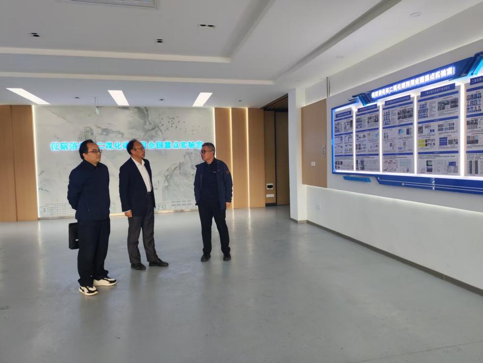 现金网